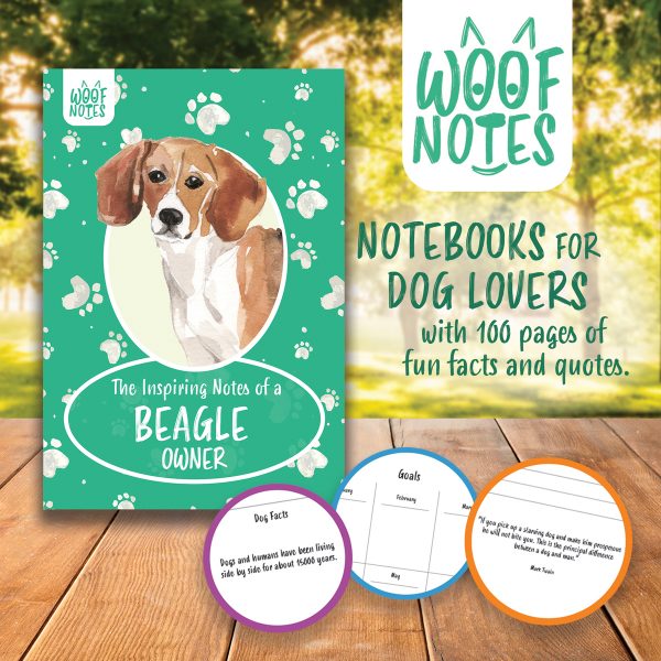 woofnotes notesbook images 03 beagle