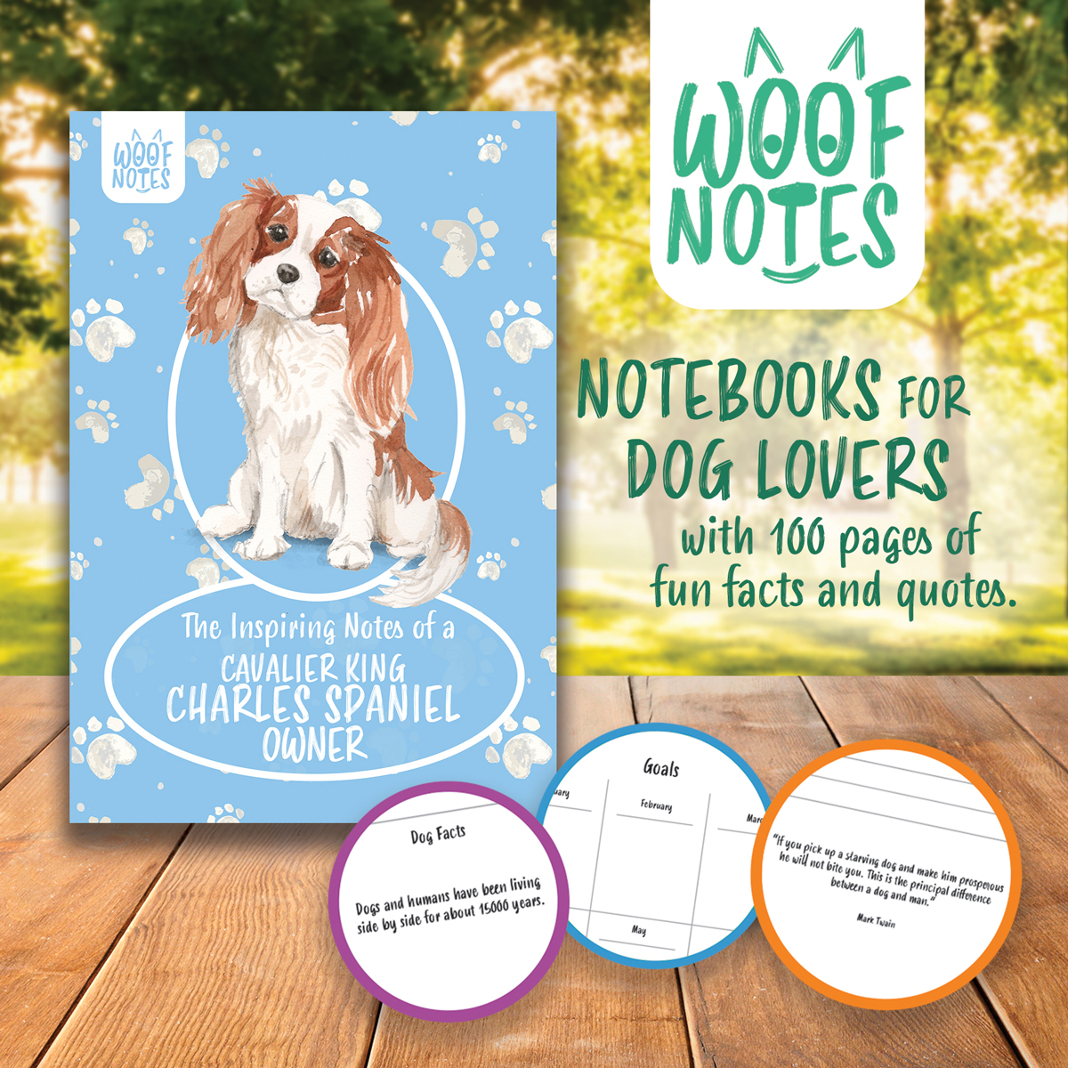 woofnotes notesbook images 03 cavalier king charles spaniel