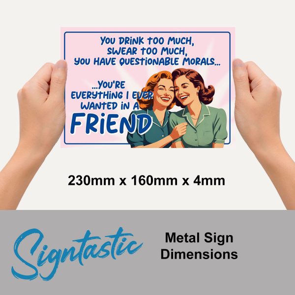 You Drink Too Much - Signtastic Metal Signs x 5 - Image 2