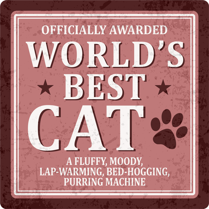 Sentiments Coasters Worlds Cat x 4